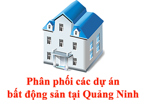batdongsanquangninh.vip